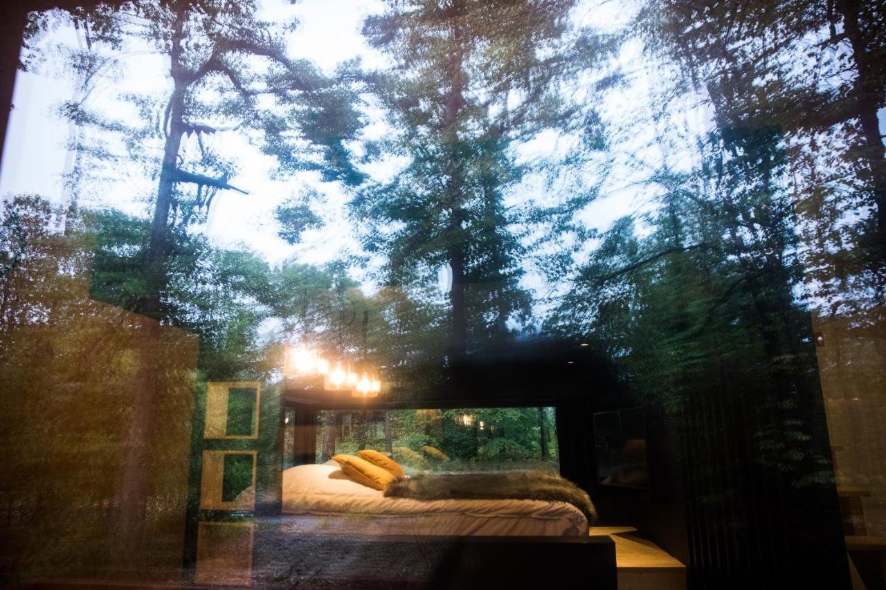 Forest Cube 오위니즈 외부 사진